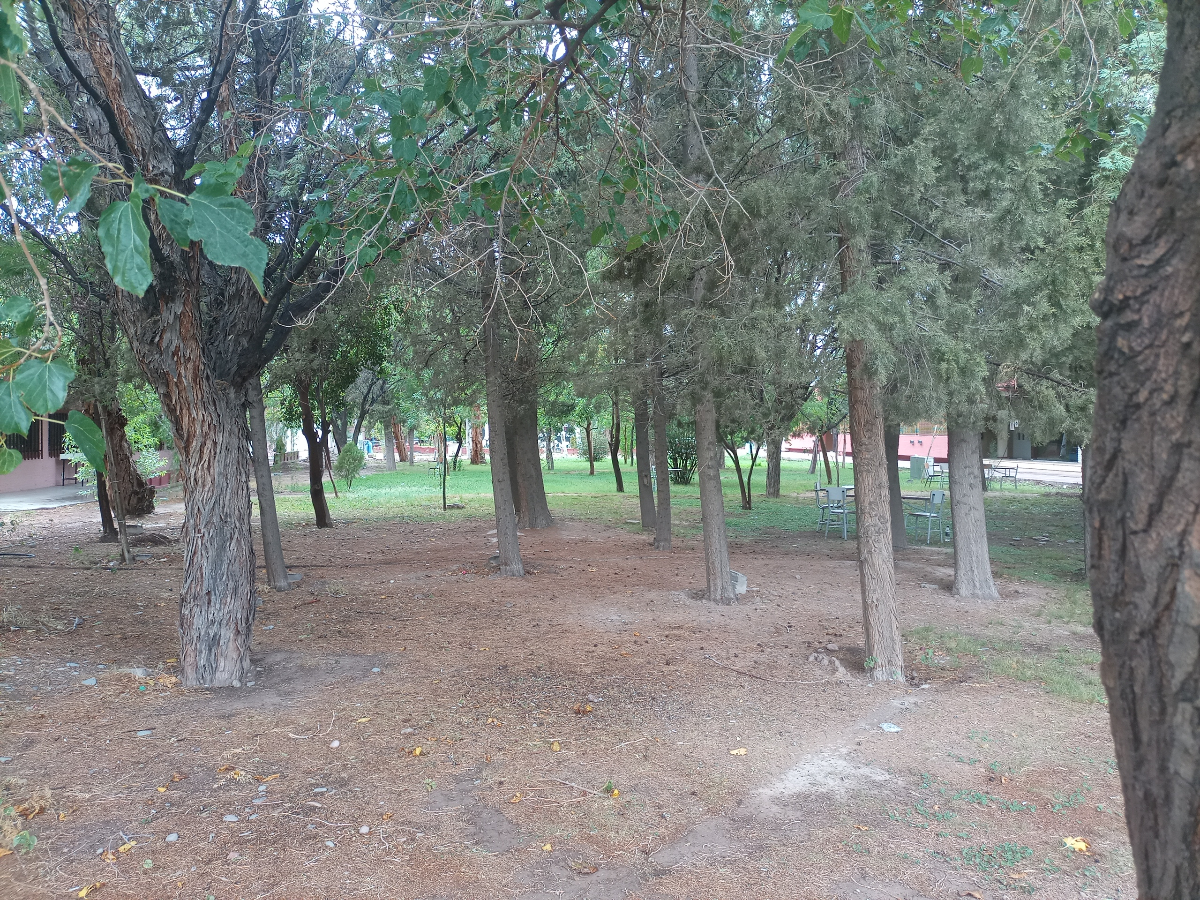 Cuatro propuestas se presentaron al Concurso para poner en valor el Bosque de la Memoria