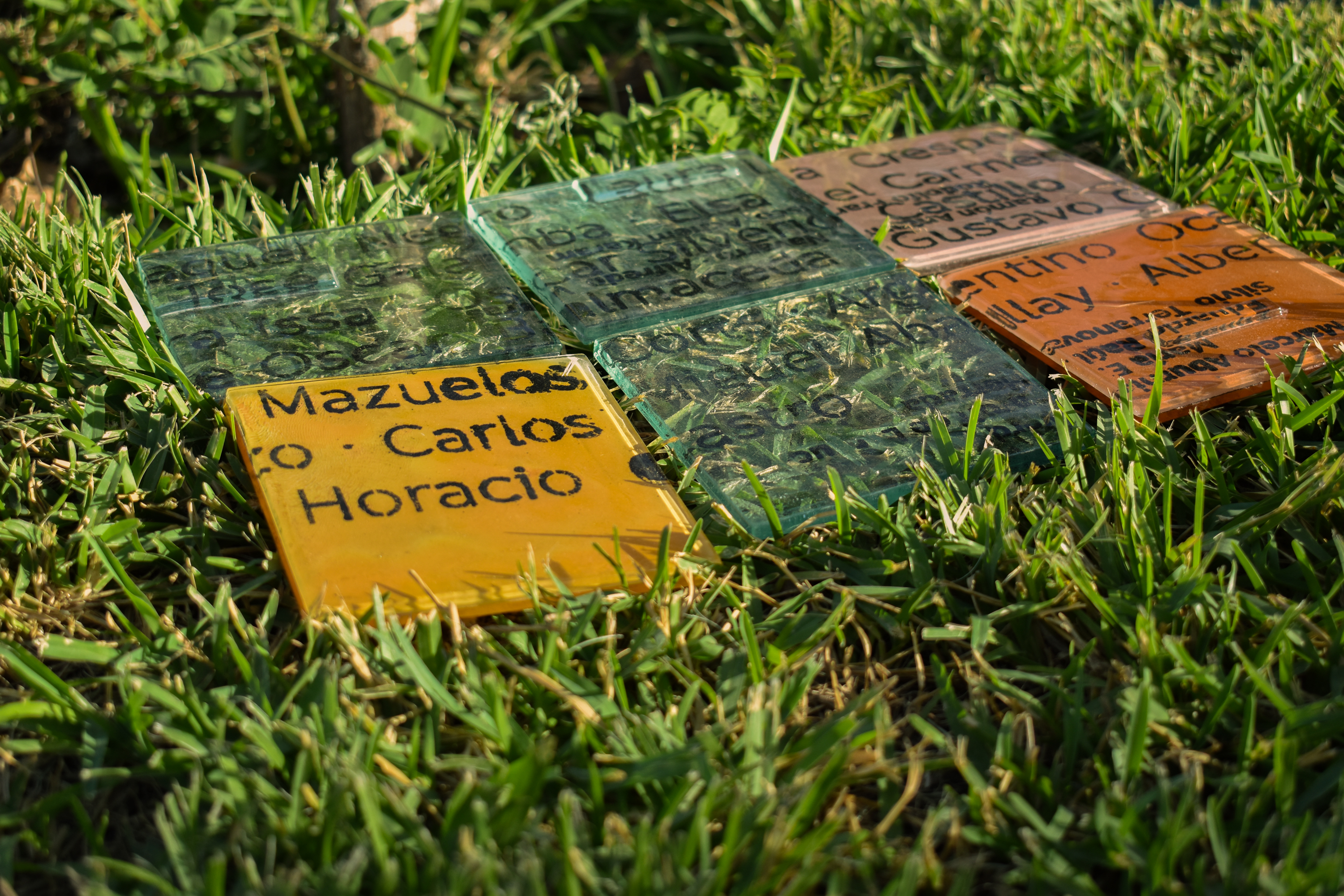 "Hoy está en disputa la memoria colectiva con la instalación de la semilla de la negación"